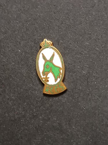 Pins pin badge spilla - badge,