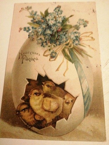 Buona pasqua cartolina - pasqua,