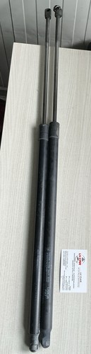 Puntelli portellone fiat doblo - puntelli,