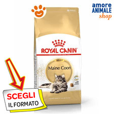 Royal Canin FBN Cat Maine Coon
