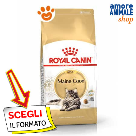 Royal canin fbn - cat, maine