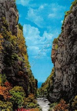 Cartolina Piedimonte D'Alife
