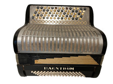 Fisarmonica vintage a bottoni