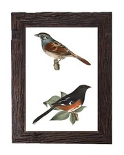 Stampa artistica da parete 5x7