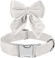 Collare Cane, Papillon Cane