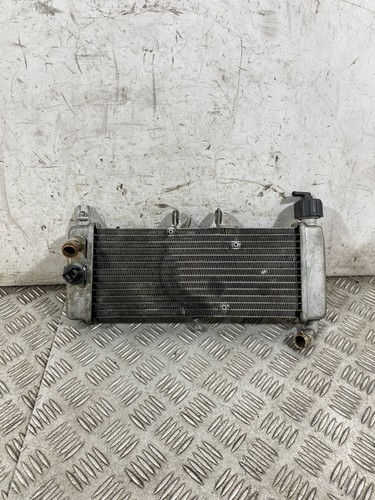 110218 radiatore acqua derbi - 110218,
