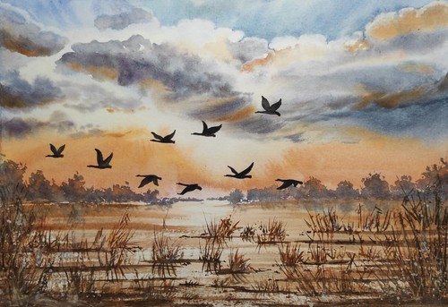 Ducks fly cloudy - cloudy, dipinto