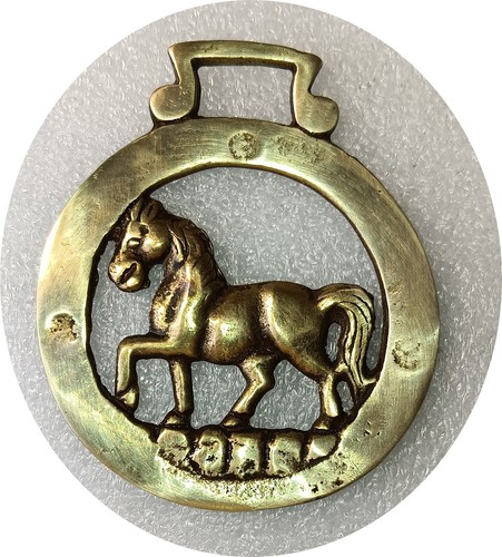 Trotting horse cavallo in - horse,