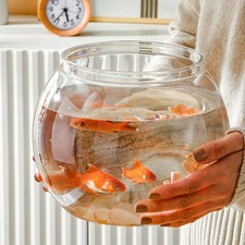  2 Pcs Acquario Piccolo Vasca