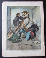 1910 domatore tigre ciclismo - domatore,