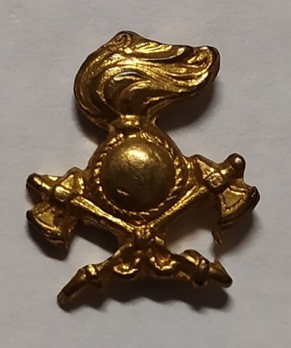 Distintivo spilla regio - /,