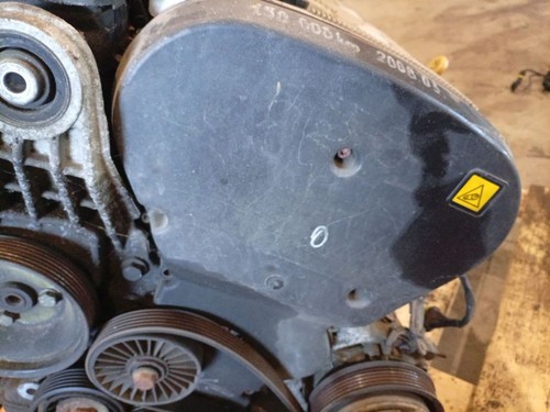 Coperchio cinghia motore - ,