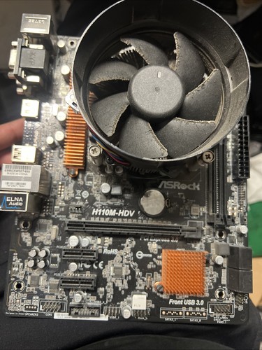 Asrock h110m hdv - asrock, lga1151