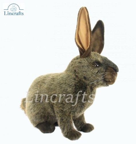 Hansa british giant bunny 4565 - giant,