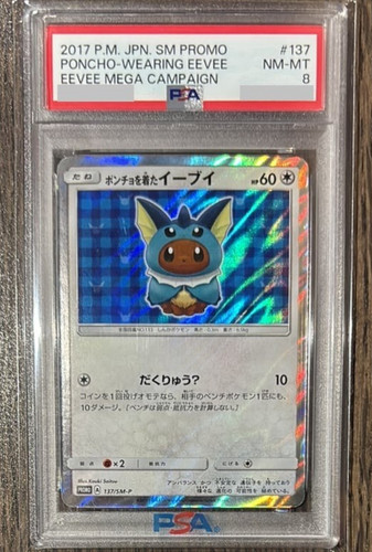 Psa poncho wearing eevee - poncho,