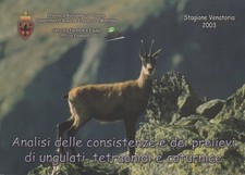 Analisi delle consistenze e