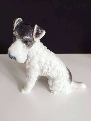 Rosenthal fox terrier - rosenthal,