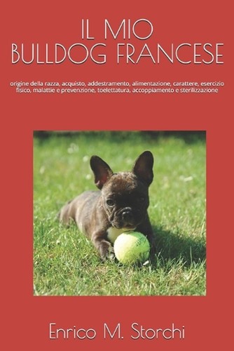 Mio bulldog francese - mio,