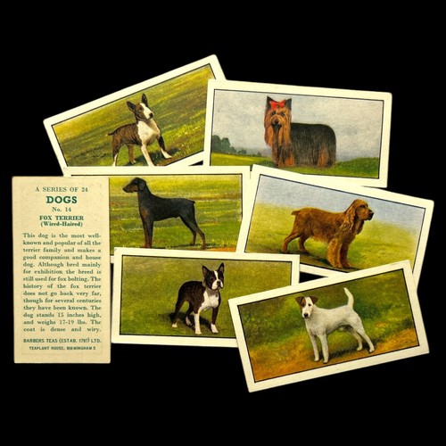 Barbers teas ltd trade - teas, card
