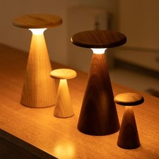 Colour Changing LED Lamp