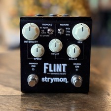 Strymon Flint usato
