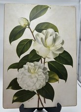 Tappetino da tavolo Lady Clare