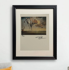 Salvador Dalí litografia originale firmata a mano con certificato di autenticità e valutazione di $ 3.500 USD