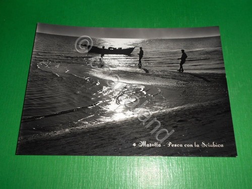 Cartolina marotta pesca con - cartolina,