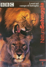 Leoni sul campo di battaglia BBC documentario DVD animali felini natura nuovo