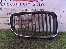 GRIGLIA PARAURTI ANTERIORE