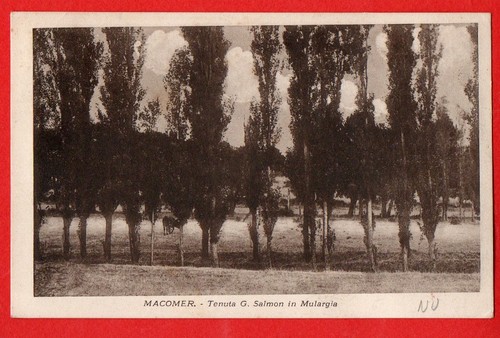 Macomer tenuta salmon - -tenuta,