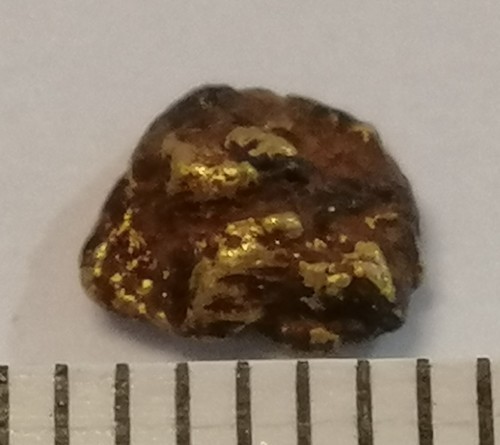 Pepita oro xxl 6 mm - pepita,