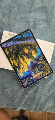 Huawei matepad papermatte - 12, x