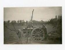 Artiglieria Regio Esercito