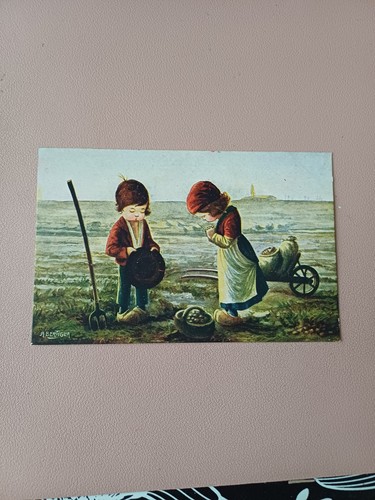 Cartolina illustratore - cartolina,