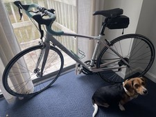 Bianchi Nirone 7 Dana Bianca