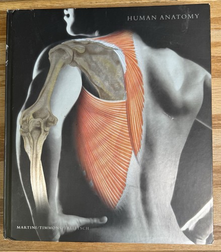 Human anatomy 5th - anatomy,