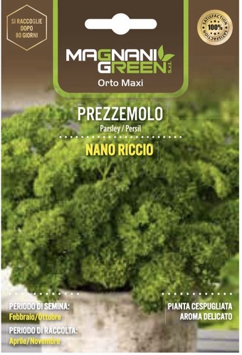 Seme prezzemolo nano - prezzemolo, riccio
