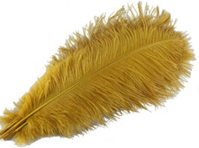 - Piume Di Struzzo Di