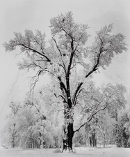 Stampa vintage Ansel Adams