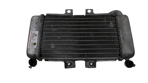 Radiatore acqua piaggio - acqua, 50