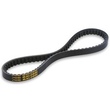 CINGHIA TRASMISSIONE MALOSSI