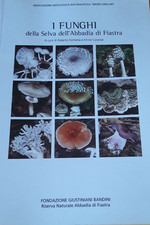 i funghi della selva