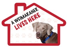 A WEIMARANER Lives Here Vinyl