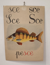 STAMPA ALFABETO MURALE - DIDATTICA ANNI '50 - SCUOLA - LETTERA P, PESCE