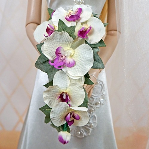 Cymbidium orchid cascade - cymbidium,