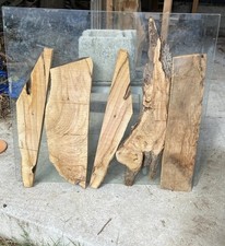 Tavole di legno di Ulivo 5
