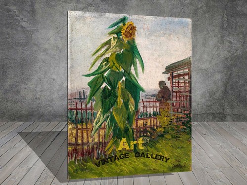 Van gogh assegnazione - van, con