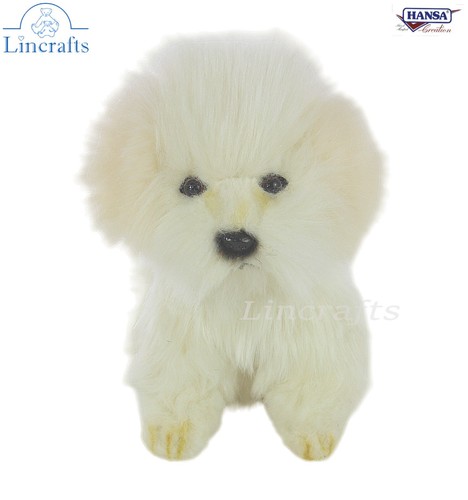 Cane maltese una tazza da - cane,
