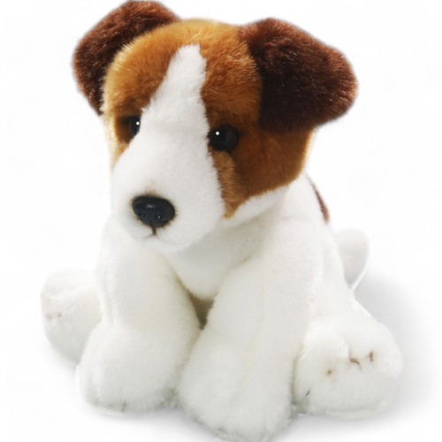 Carl dick jack - jack, terrier